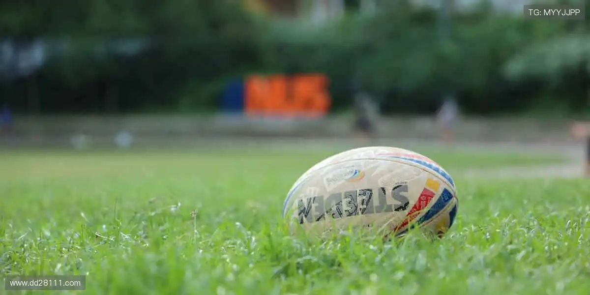 高清画质，畅享赛事！🎥🏒